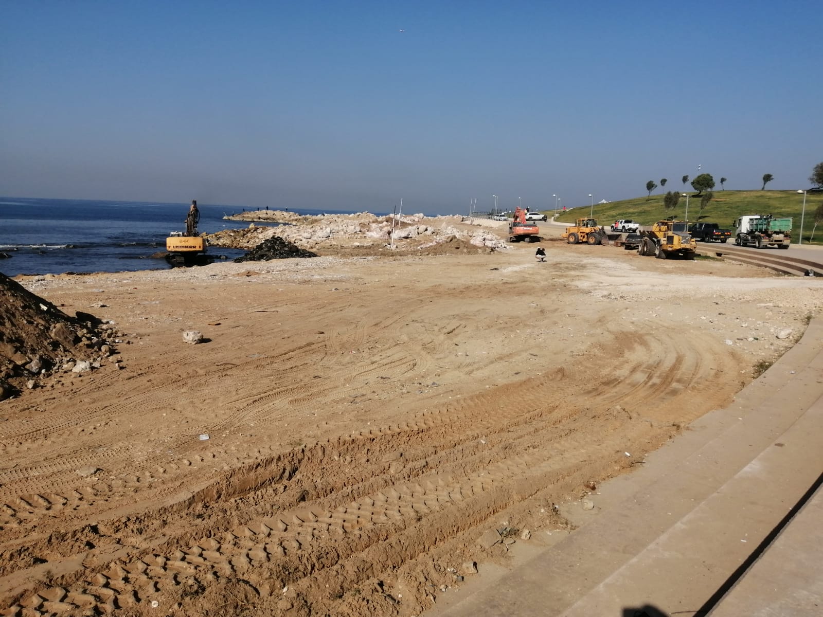 WhatsApp Image 2021-01-07 at 11.29.53 AM.jpeg.jpeg